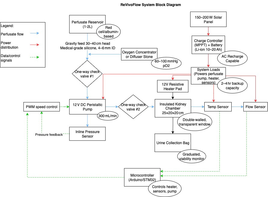 Kidney Perfusion System