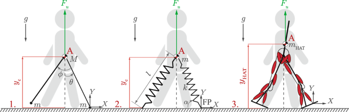 Predictive Modeling of Human Gait